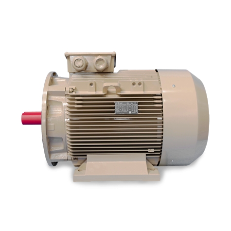 Çift Devirli Motorlar